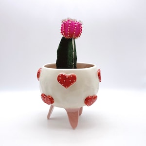 Handmade Planter, Indoor Plant Pot, Succulent Plant Pots, Love and Kindness, Best Gift, Birthday Present Hand Painted, Heart decoration