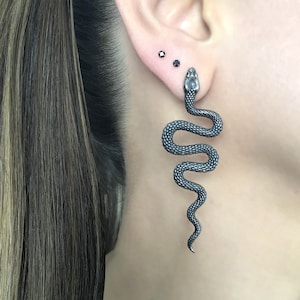 Könnte beinhalten: Ein silberner Schlangenohrring mit einem detaillierten, strukturierten Design. Der Ohrring hängt am Ohrläppchen einer Person.