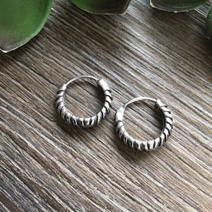 May include: A pair of silver hoop earrings with a twisted design. The earrings are small and delicate.