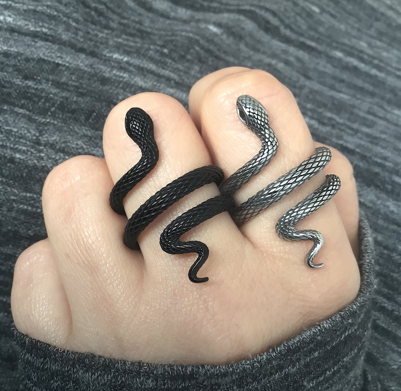 Puede incluir: Dos anillos con forma de serpiente, uno negro y otro plateado, puestos en los dedos de una persona.