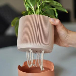 May include: A light pink cylindrical planter with vertical ribbed texture and a green plant inside. The planter has white cotton wicks hanging from the bottom drainage holes, positioned above a matching light pink circular base reservoir.