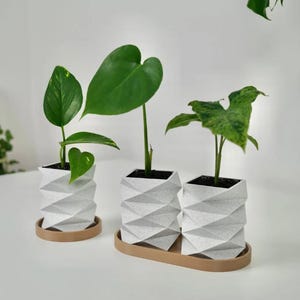 May include: Three geometric white planters with green plants. The planters have a textured, folded design and sit on a brown tray. The plants have large, vibrant green leaves, adding a natural element to the modern design.