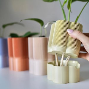 May include: A row of colorful, ribbed planters in shades of blue, orange, and pink. A light green planter is held up, revealing a matching base with rope wicks. The planters are filled with green plants.