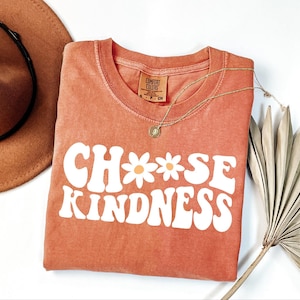 Choose Kindness Teacher Shirt, Back To School, Be Kind School Shirt, Teacher Appreciation Gift, Elementary Team Teacher Shirt, Pre K Teacher