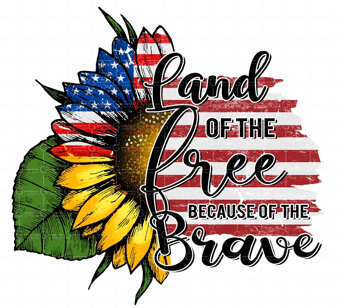 home of the free because of the brave painting home of the free because of the brave painting