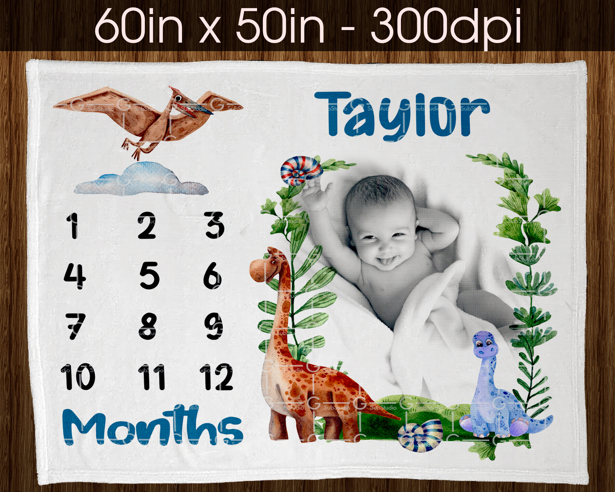 Dinosaur Baby Milestone Blanket Digital Design for Etsy