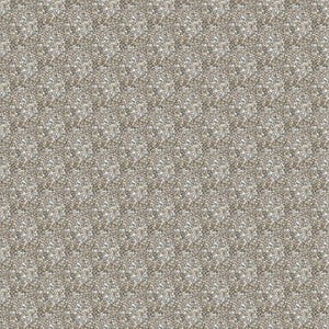 Landscape Design Peebles Grays/Beiges, the Naturescapes Line by Northcott, By the Yard, Half Yard, Fat Quarters, Cotton Fabric Item 25494-93