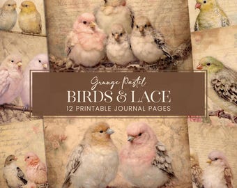 Birds on a Wire Journal Pages, Shabby Pastel Grunge Parakeets Backgrounds, Aged Lace Printable Scrapbook Paper