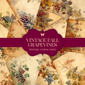 Pages de journal indésirable vignes d'automne, kit de papier aquarelle feuilles d'automne, arrière-plans de scrapbooking floral vin vintage, collage numérique imprimable