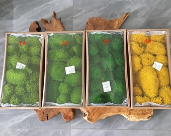 Bulk Wholesale--4Colors Preserved DIY Crafts, Stabilized Pole Moss Pillow Bun Cushion Natural Green Decorative Moss