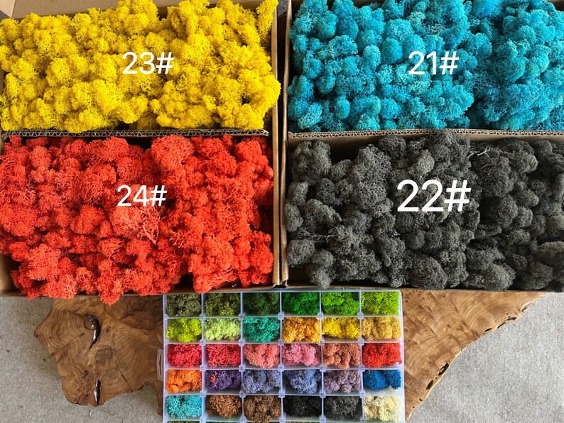 30colors Natural Top Reindeer Moss Preserved Reindeer Lichen Moss for