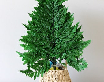 DIY Crafts Stabilized Preserved Leaf Ferns- Preserved Green Ferns Stems Wedding Garlands Home Decorations Bouquets Flower Arrangements Dried