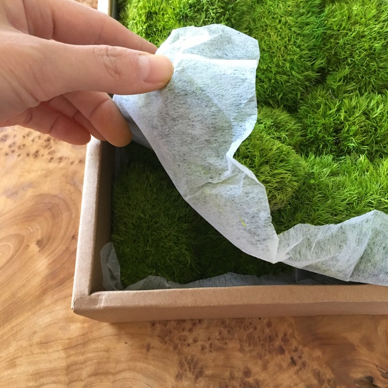 Bulk Wholesale4colors Preserved Ball Moss, Pole Moss, Pillow Moss, Bulk