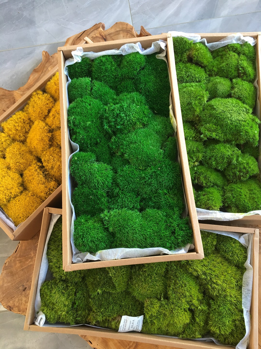 Preserved Forever Pillow Moss, Natural Ball Moss, Pole Moss 4 Colors