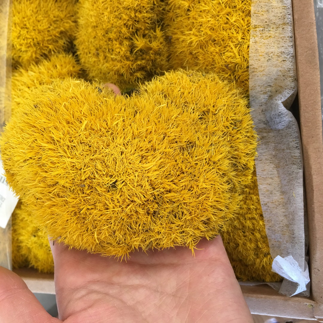 Bulk Wholesale4colors Preserved Ball Moss, Pole Moss, Pillow Moss, Bulk