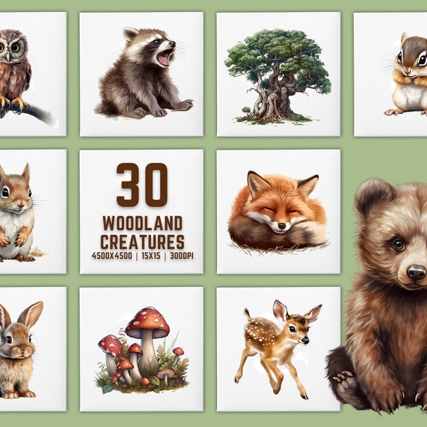 Cute Woodland Animals Clipart 30 Pack | Rabbits, Squirrels, Deer, Bear and More Transparent PNGs Nursery Clipart | Commercial Use