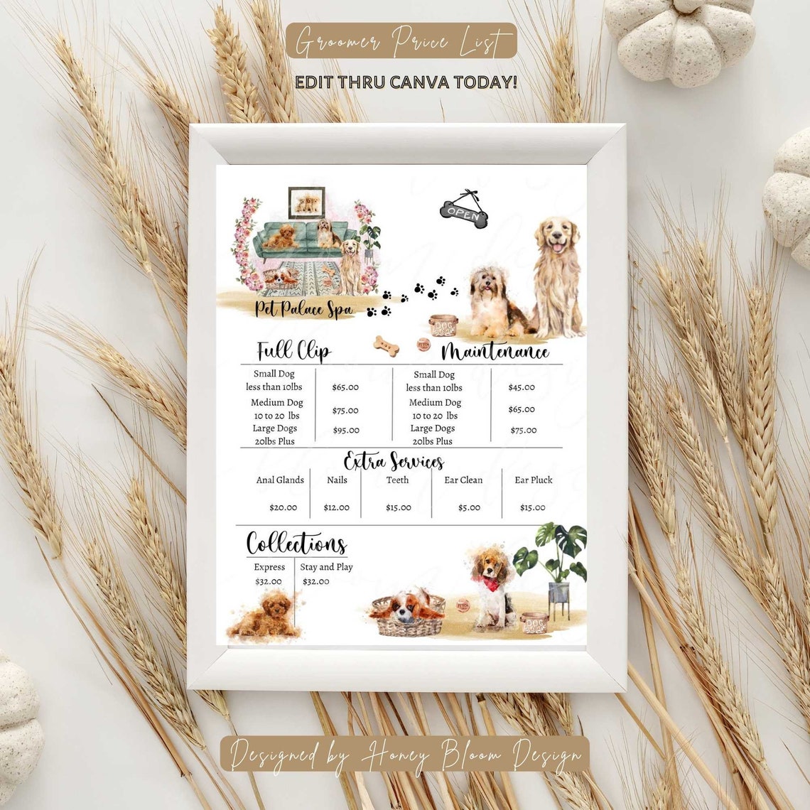 View of Groomer Business Price List Groomer Info Flyer Pet Detail - Etsy