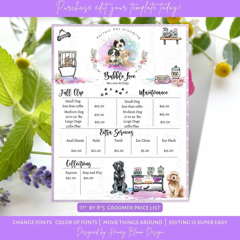 Top 15 Pet Grooming Services Singapore (2025) | RehabVet