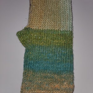 Noro Fingerless Gloves image 4