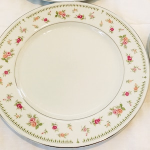 Vintage Avignon floral set of 9 plates~Fine Porcelain China~Rose Rimmed Plates