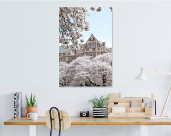 Cherry Blossoms | Nature | Landscape | Landscape Photography | Seattle | Flowers | Photography | Photography Print