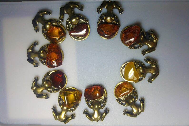 Amber Money Frog Bonsai Baltic Amber Stone Buddha 10PCS