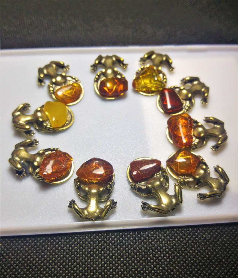 Amber Money Frog Bonsai Baltic Amber Stone Buddha 10PCS