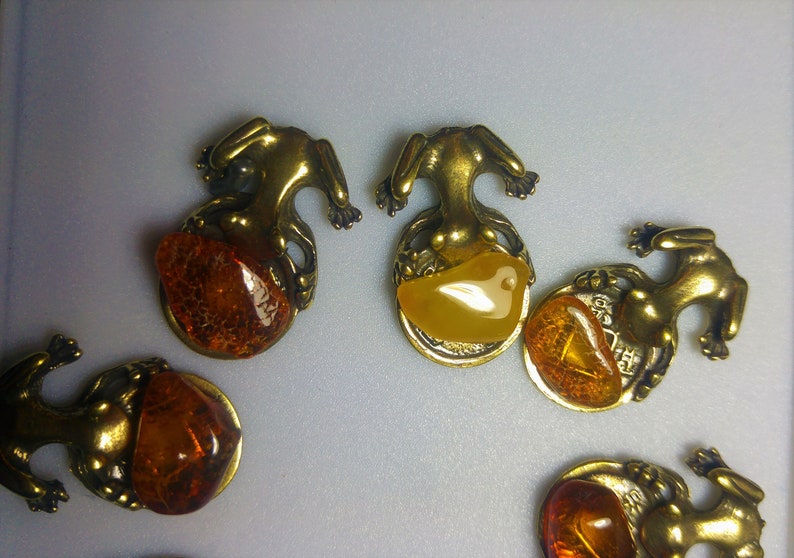 Amber Money Frog Bonsai Baltic Amber Stone Buddha 10PCS