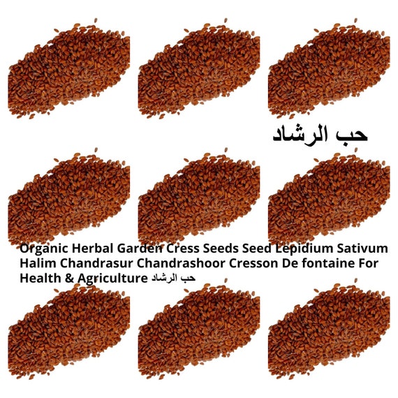 Graines de cresson (Heb Arched) - 40 g net - حب الرشاد - الثفاء