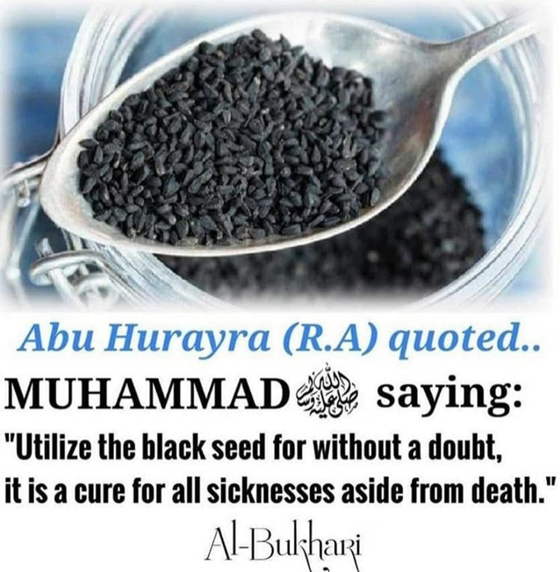 100 Natural Al Helal Black Seed Oil Cold Squeezed 125ml Etsy