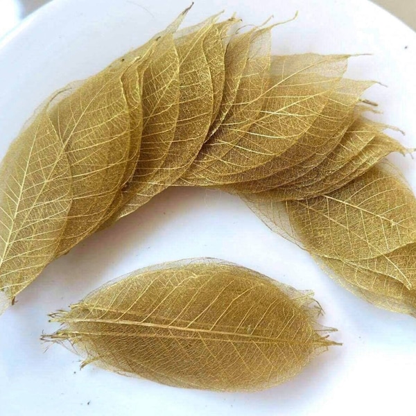 100 pièces squelette feuilles feuilles dorées feuilles d'arbre en caoutchouc naturel pour artisanat Scrapbooking bricolage carte mariage petites feuilles