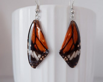 Wing Earrings Butterfly - Monarch Hindwing - Butterfly Jewelry, Butterfly Wings Earrings, Curiosity, Natural, Oddities Jewelry.