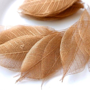 100 Pcs Skeleton Leaves Copper Leaves Natural Rubber Tree Leaves for Crafts Scrapbooking DIY Card Wedding Small Leaves