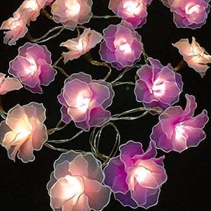 20 Pink String Lights Carnation Flower Fairy Lights Bedroom Home Decor Living Room Wall Hanging Lights Wedding Decor Dorm Lights Battery