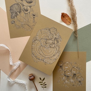 Druck "Pilze" | Kunstdruck als Poster, Wandschmuck oder Karte für Halloween mit handgezeichneten Highlights - im 3er Set oder einzeln