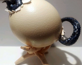 Silver-Blue Dragon Hatching from "Dragon Egg"