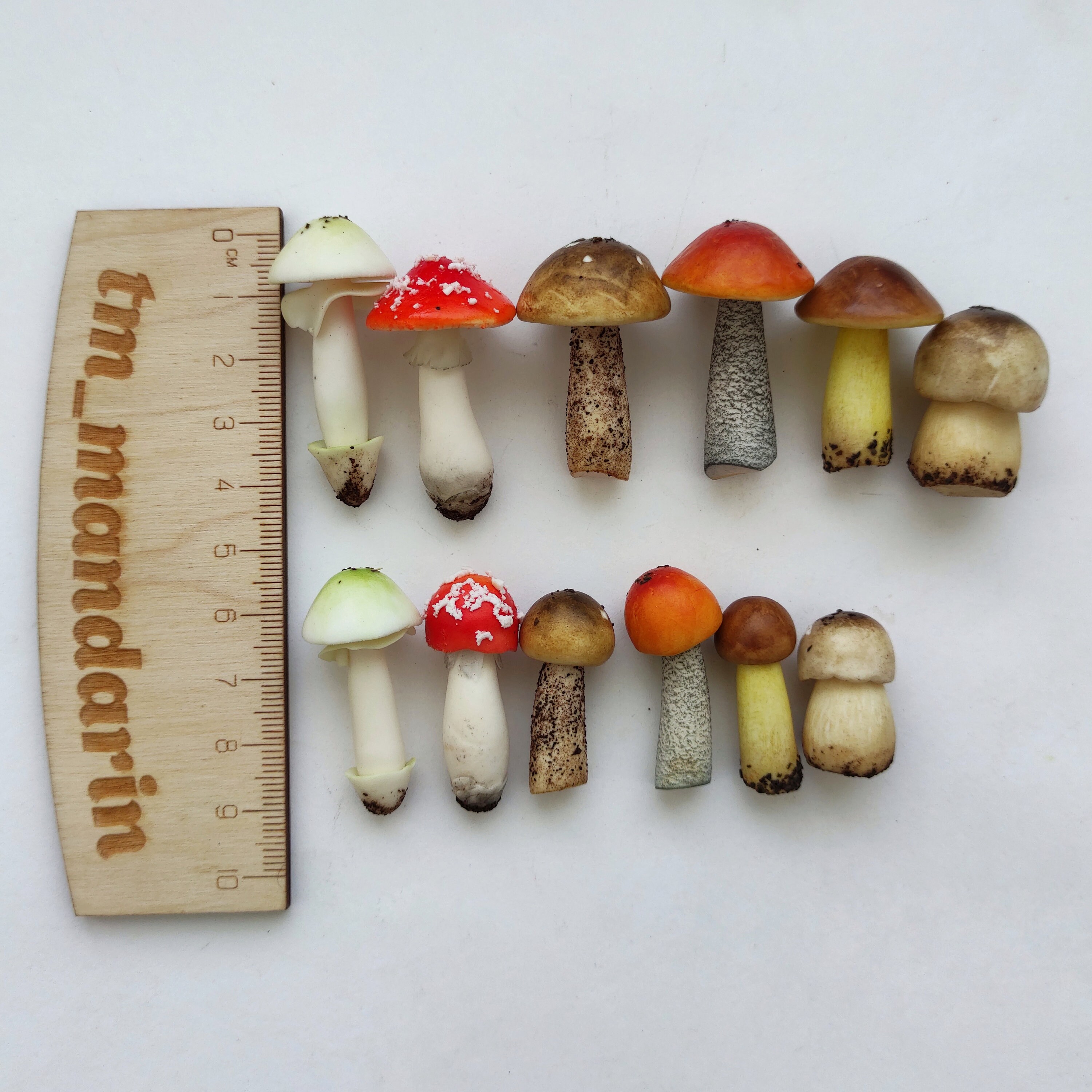 Terrarium Kit Magic Mushroom Set 12 Pc Miniature Garden Etsy