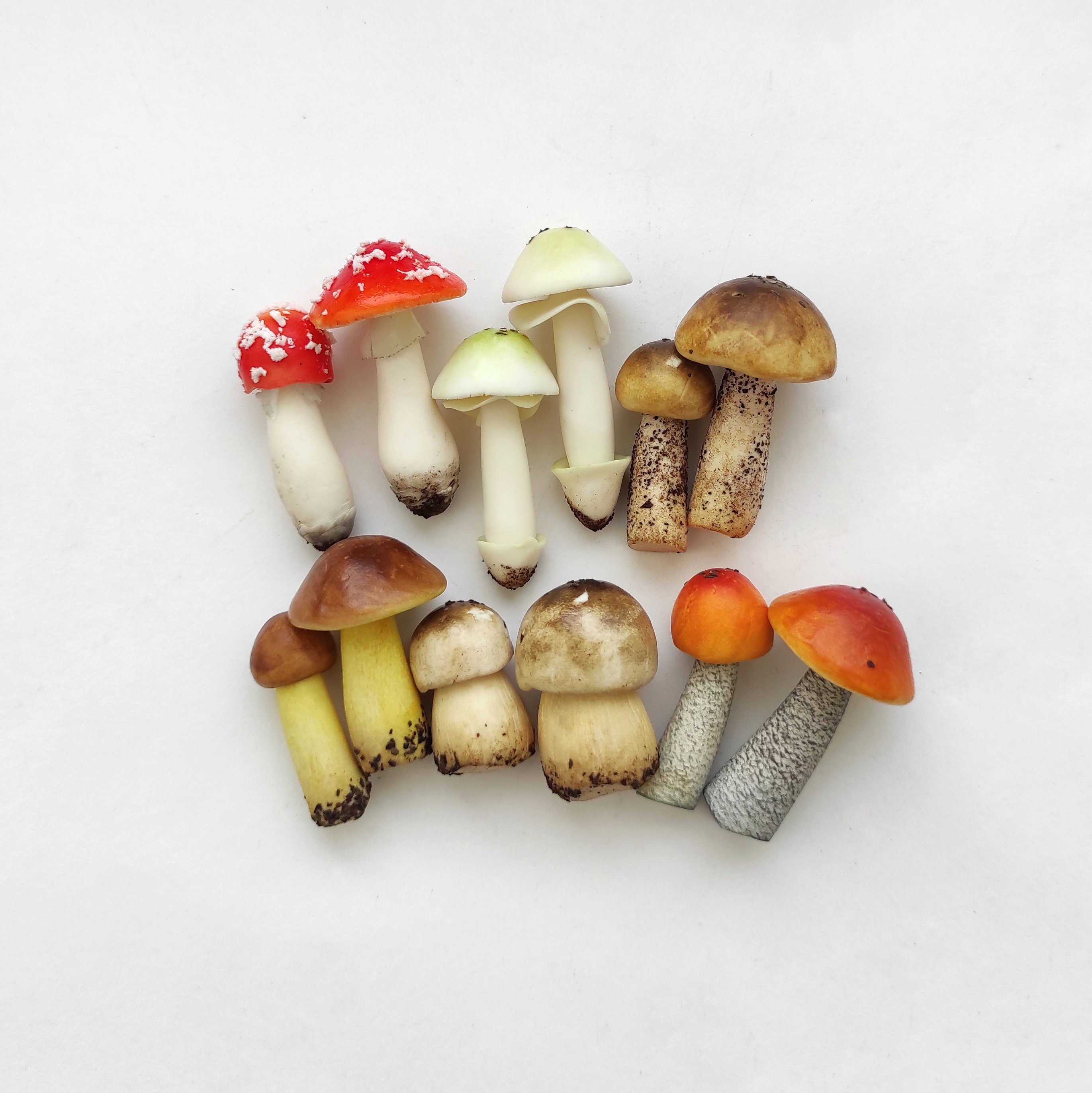 Terrarium Kit Magic Mushroom Set 12 Pc Miniature Garden Etsy