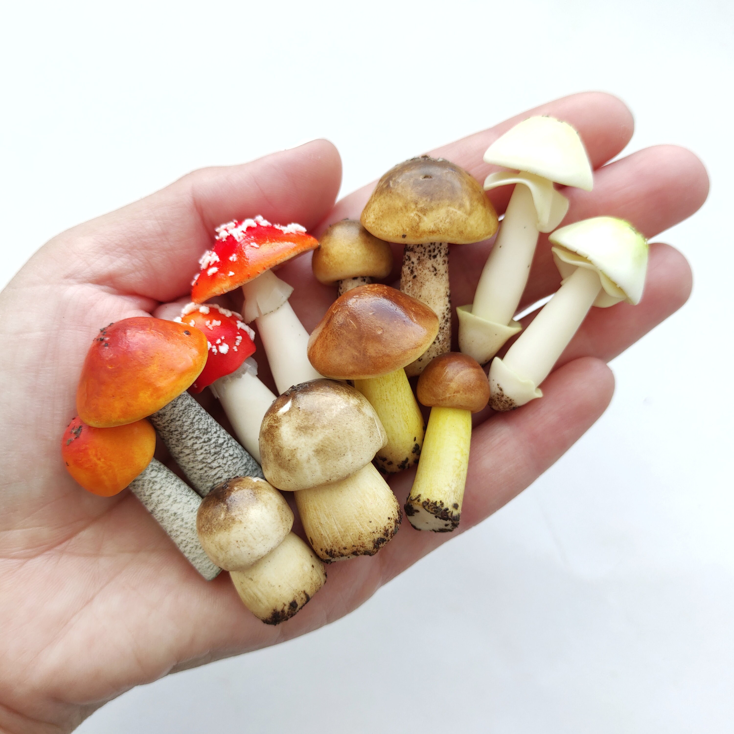 Terrarium Kit Magic Mushroom Set 12 Pc Miniature Garden Etsy