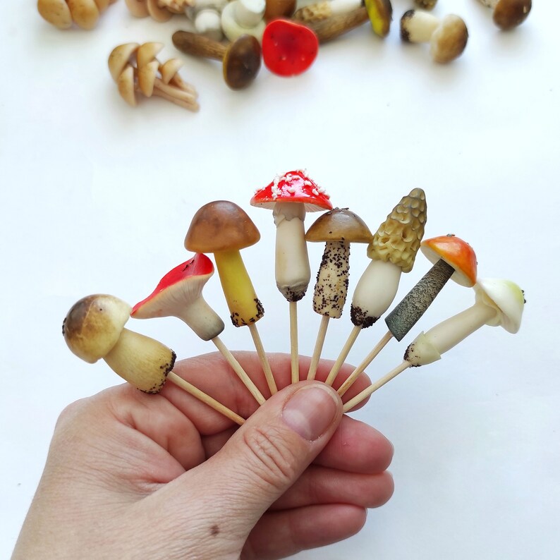 Terrarium mushroom Miniature mushrooms terrarium décor Etsy