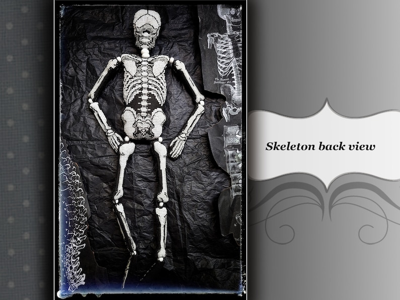 May include: A white skeleton doll with a black background. The skeleton is posed with its arms at its sides and its legs slightly bent. The skeleton is made of plastic and has a realistic appearance.