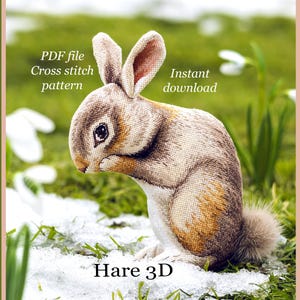 Può includere: Un modello a punto croce di una lepre in un campo innevato. La lepre è marrone e beige con una coda soffice e orecchie lunghe. Il testo sull'immagine recita "PDF file Cross stitch pattern Instant download Hare 3D".