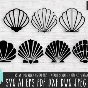 7 Paquete Sea Shell SVG, archivo vectorial SeaShell, SeaShell Ilustración Cricut/Silhouette/Procreate, icono Sea Shell descarga digital png pdf 211