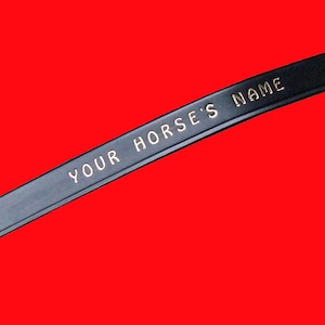 Könnte beinhalten: Schwarzes Lederband mit dem Text "YOUR HORSE'S NAME" in goldenen Buchstaben.