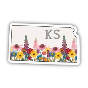 Kansas Painterly Pattern Sticker - Laptop Stickers, Waterproof Stickers, Water Bottle Stickers, Kansas Stickers, State Stickers, Fun Sticker