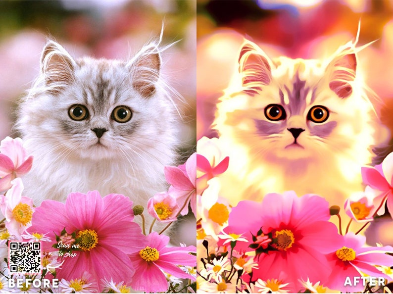 Op de afbeelding: Een witte en grijze kat met gele ogen zit in een veld met roze en witte bloemen. De kat kijkt recht in de camera. De bloemen bloeien en de achtergrond is wazig.