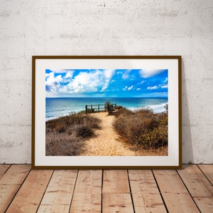 Torrey Pines Beach-foto, Razor Point Trail-tryck (digital nedladdning)
