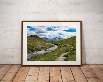 Denali National Park Photo, Savage River, Alaska Landscape (Digital Download)