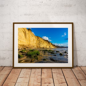 Torrey Pines Photo, Bluff Photo, San Diego Photography, Travel Torrey Pines Download, Torrey Pines, Digital Download, Instant Download