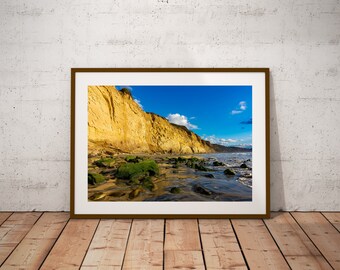 Torrey Pines Photo, Bluff Photo, San Diego Photography, Travel Torrey Pines Download, Torrey Pines, Digital Download, Instant Download